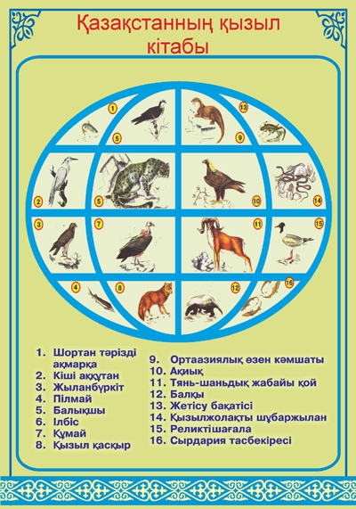 Стенд 927