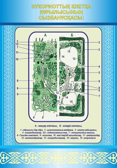 Стенд 957