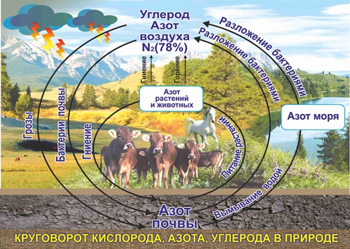Стенд 1015
