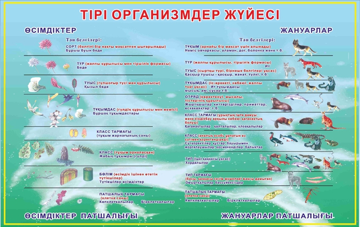 Стенд 931