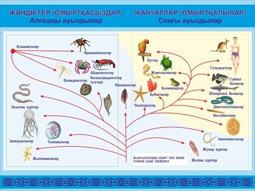 Стенд 946