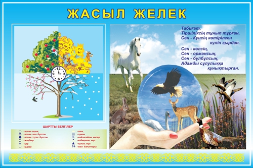 Стенд 623