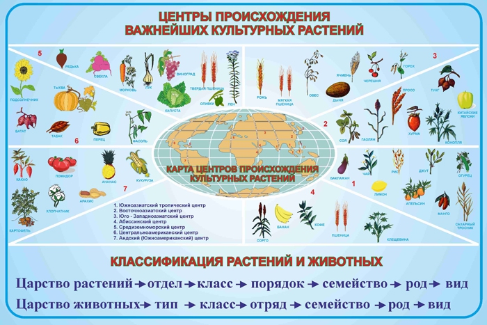 Разнообразие и происхождение культурных растений карта