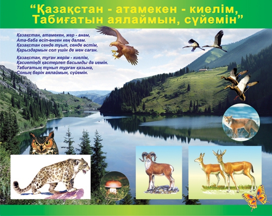 Стенд 1231