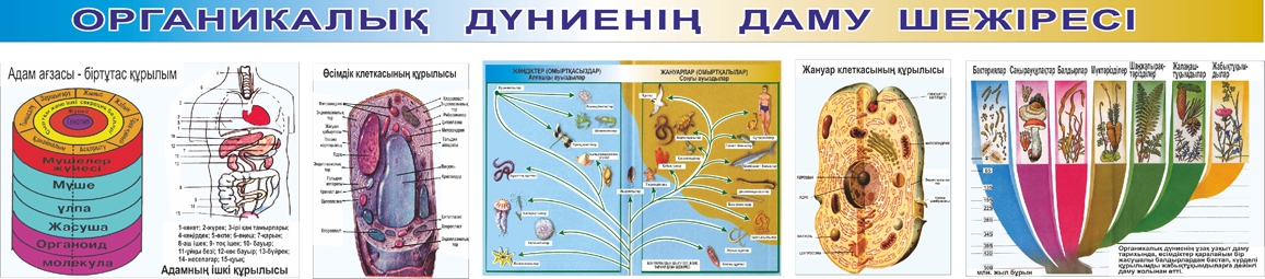 Стенд 939