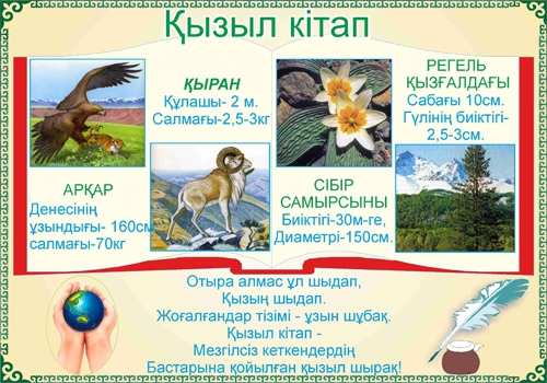Стенд 926