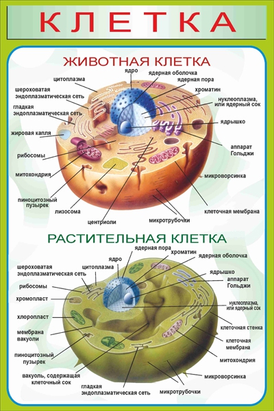 Стенд 928