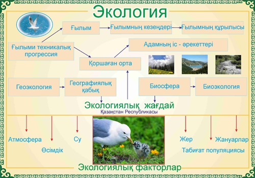 Стенд 925