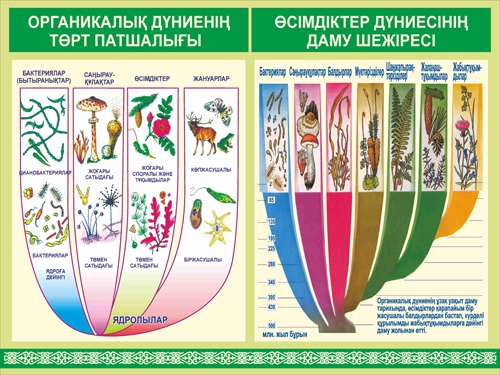 Стенд 935