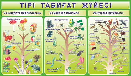 Стенд 944