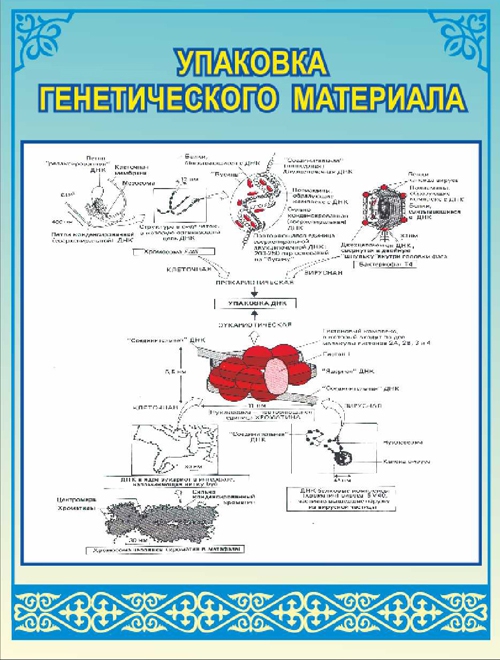 Стенд 908