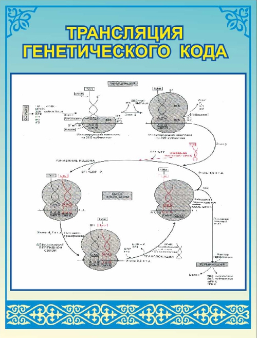 Стенд 907
