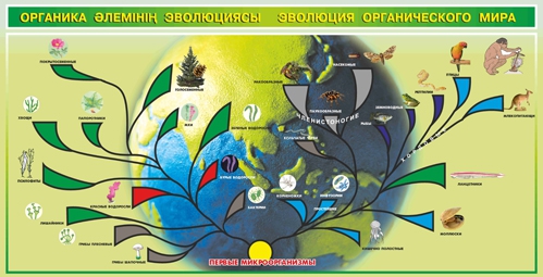 Стенд 941