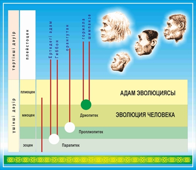 Стенд 934