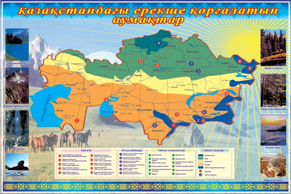 Стенд 1205