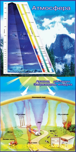 Стенд 1223