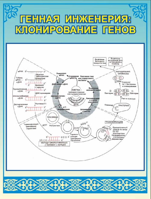 Стенд 910