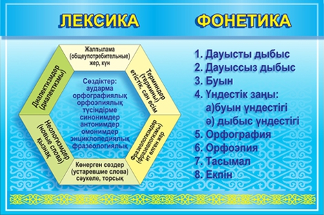 Стенд 11