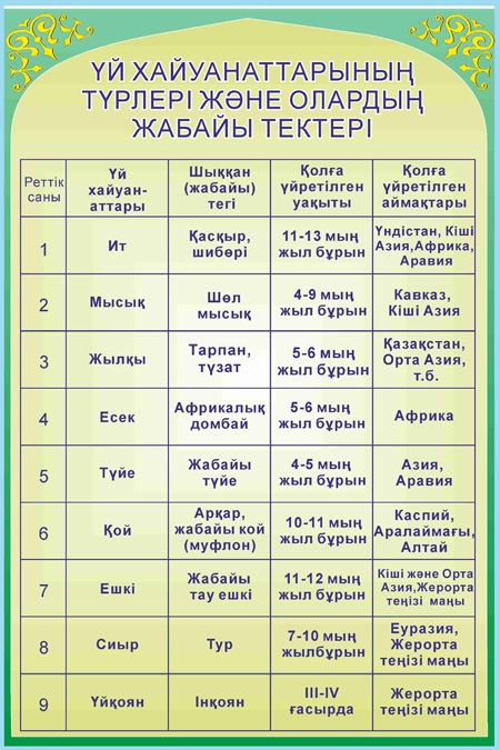 Стенд 919