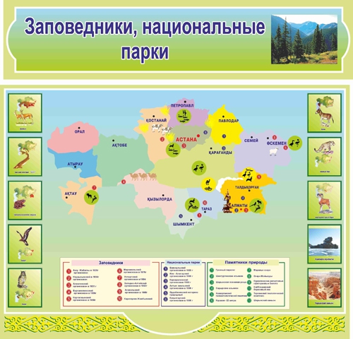 Стенд 953